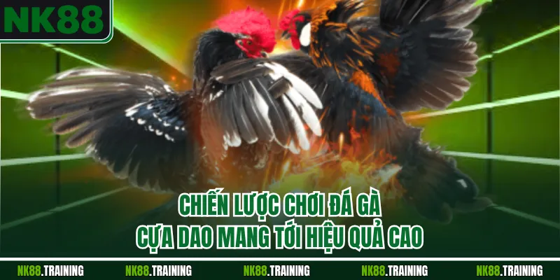 Chiến lược chơi đá gà cựa dao mang tới hiệu quả cao